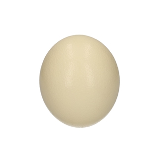 Promo Egg Ostrich d12*17cm