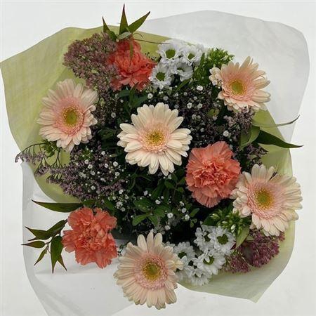 Gem Boe Middel Zalm 25 Stelen Vers