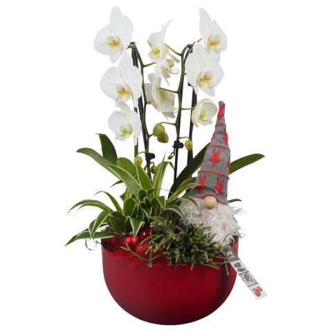 <h4>PTCHR7241 Arrangementen Kerst</h4>