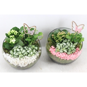 arr2 PL - Glas bol schuin - roze/wit