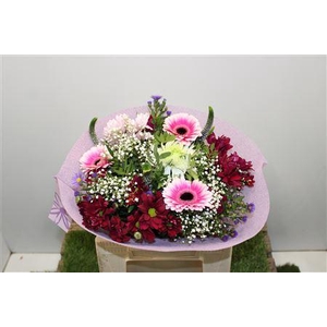 Gem Boe Middel Lila 25 Stelen Vers