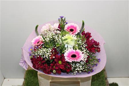 <h4>Gem Boe Middel Lila 25 Stelen Vers</h4>