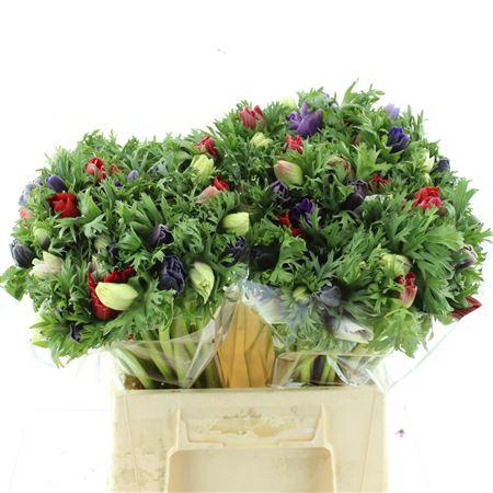 <h4>Anem Co Mar Mix</h4>