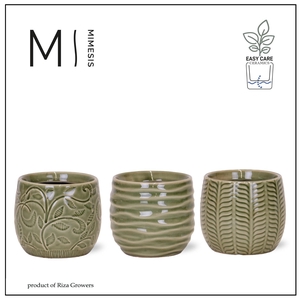Karma - SOLO POTS - Madeira mix 9 cm |
