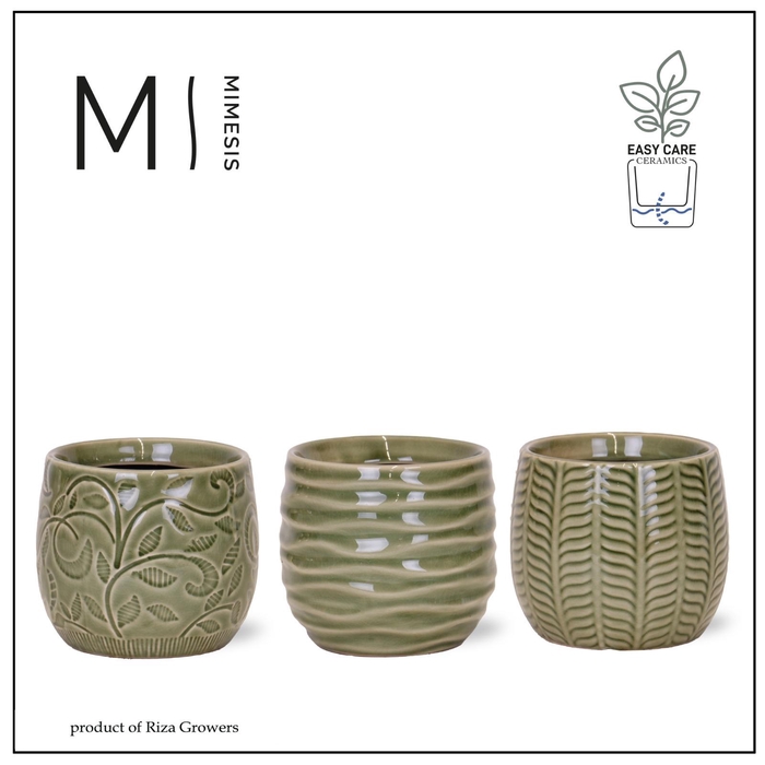 <h4>Karma - SOLO POTS - Madeira mix 9 cm |</h4>