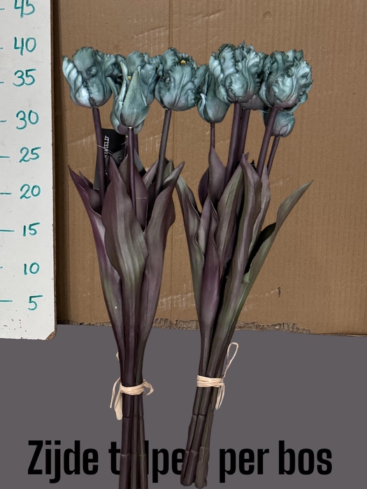 <h4>HUIS EN TUINDECO H%</h4>