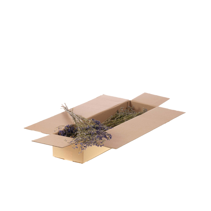 <h4>Limonium Sb Natural Purple</h4>