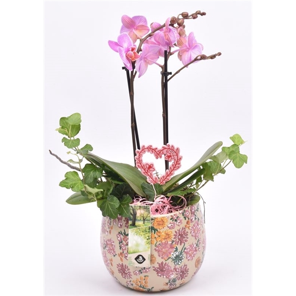 <h4>Keramiek decor pot 14CM</h4>