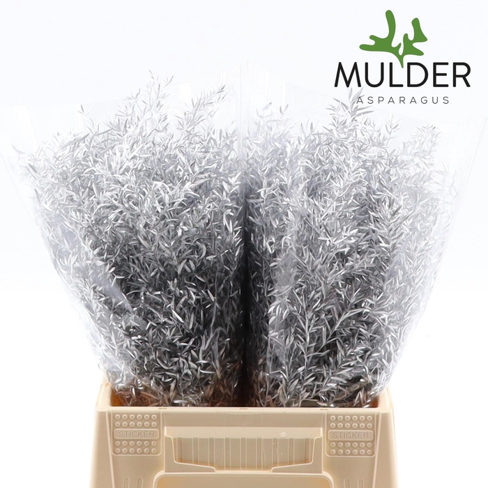 <h4>ASP KLB H% Cwebe Silver</h4>