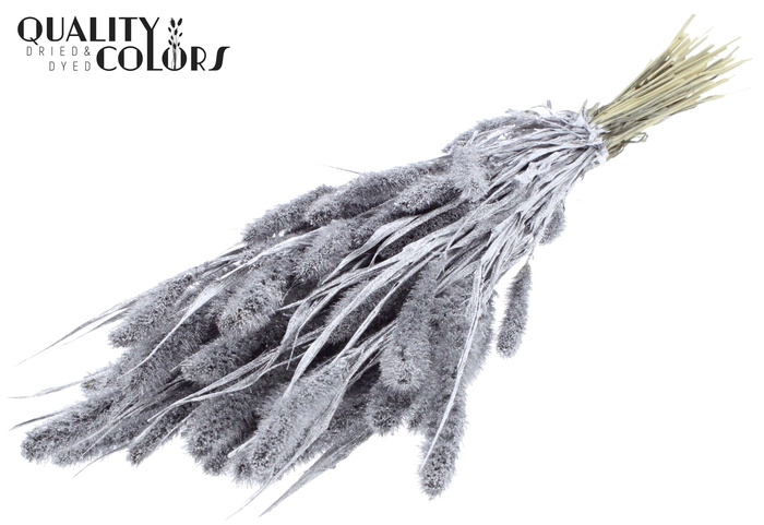 Setaria per bunch Silver + Glitter