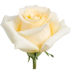 R GR CREME DE LA CRE