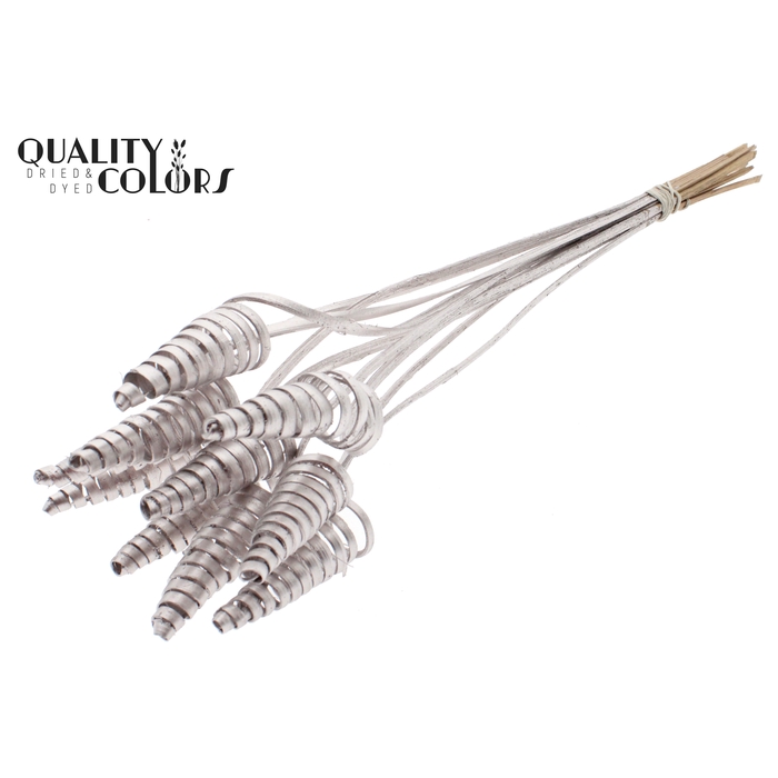 <h4>Cane Cone on stem Champagne</h4>