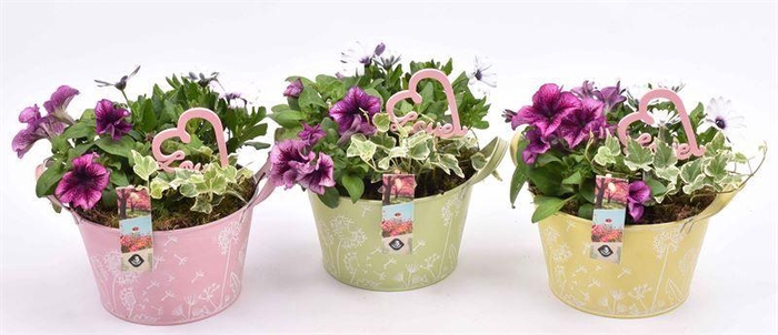 <h4>Zink teil bloemdecor kl.mix 18cm</h4>