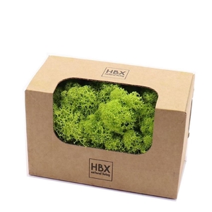 Preserved Reindeermoss 50g