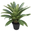 BROMELIA IMPERIAL P27 VERDE
