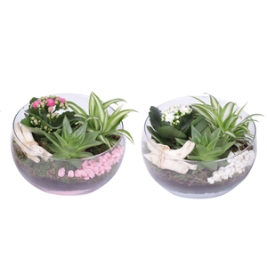 Yearround Arr. Indoor Glass Bowl Vase Ø20cm 3PP