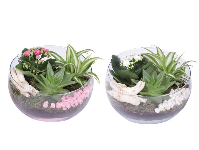 <h4>Yearround Arr. Indoor Glass Bowl Vase Ø20cm 3PP</h4>