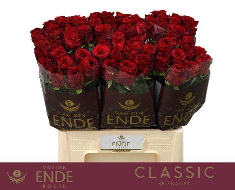 <h4>R GR RED NAOMI! CLASSIC 55cm</h4>