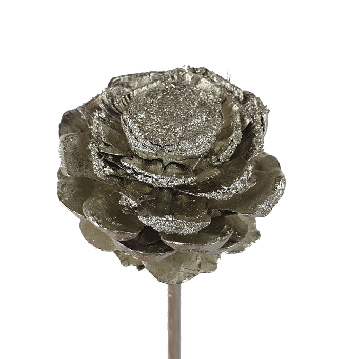 Pine cone cut 5-7cm on stem Platina