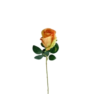Promo Rosa 58cm