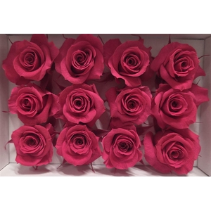 Ro Pres Mini Cherry Blush