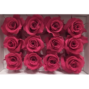 Ro Pres Mini Cherry Blush