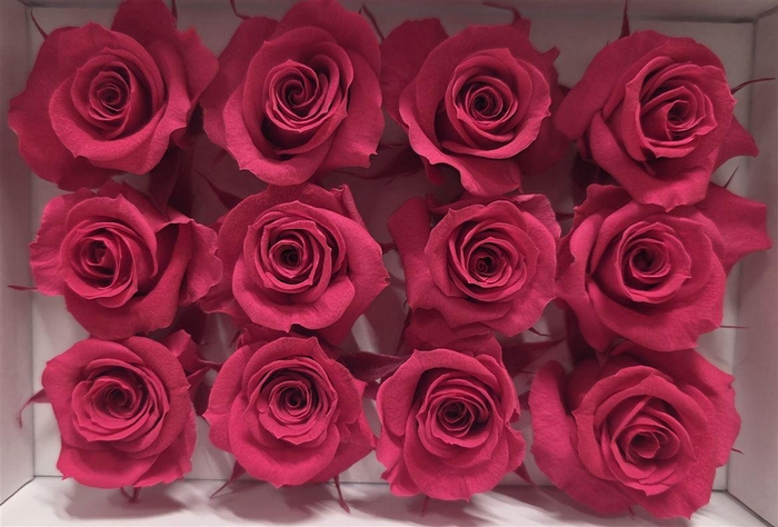 <h4>Ro Pres Mini Cherry Blush</h4>