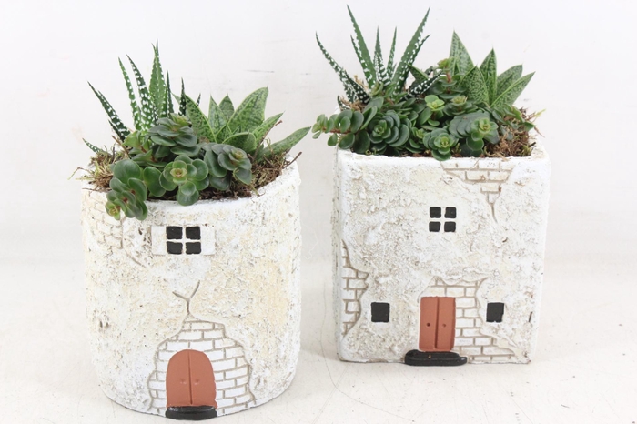 <h4>arr3 SN - Casa antique</h4>