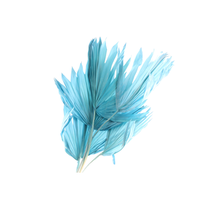 Palm Sun Blue Light