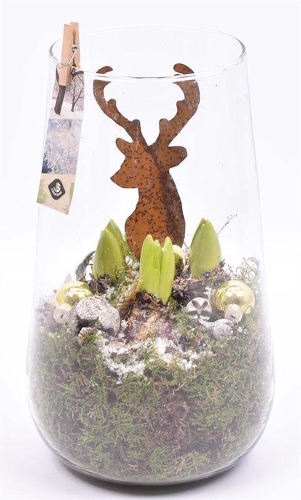 <h4>Glas cilinder 14x16cm</h4>