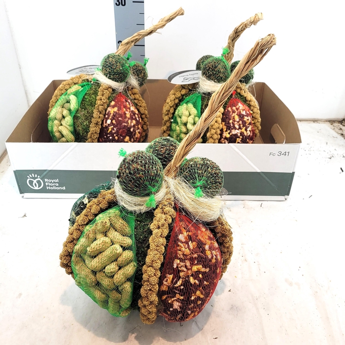 <h4>VOGELZ FIGUUR H%</h4>