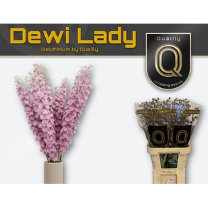 DELPH DU DEWI LADY 90CM X30