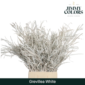 Grevillea (bunch) White