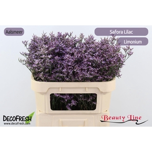 LIM SAF LILAC
