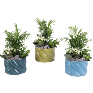 Yearround Arr. Indoor Ceramic Fresh Breeze FB674 Ø17cm 3PP