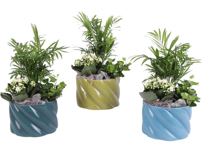 <h4>Yearround Arr. Indoor Ceramic Fresh Breeze FB674 Ø17cm 3PP</h4>