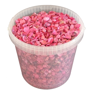 Shells north sea 10 ltr Cerise