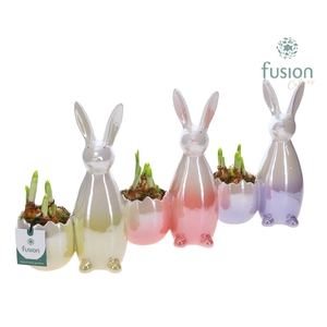 Pot keramiek Haas Pasen 3 kleuren Small met Narcis