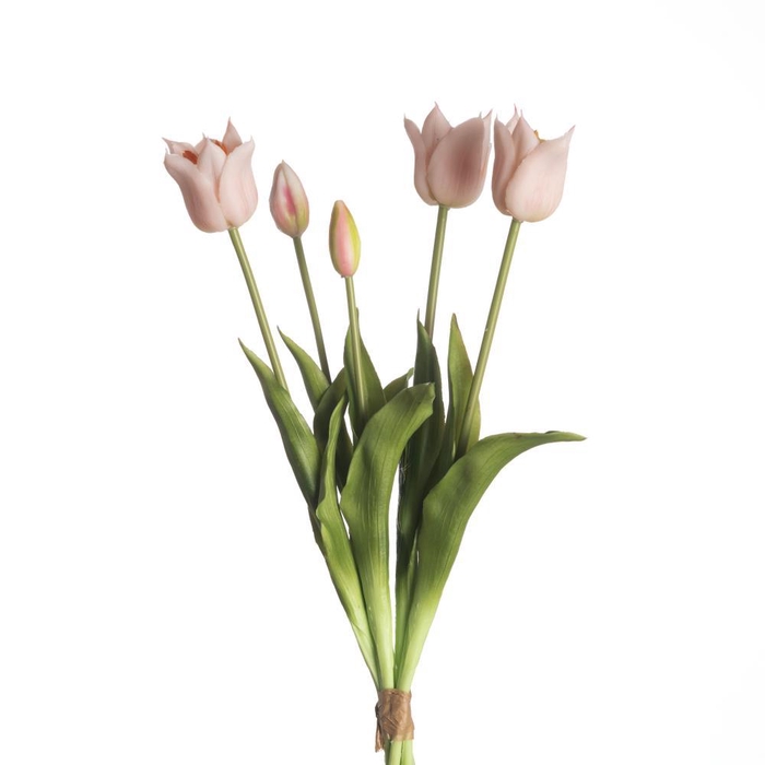 <h4>AF Tulip Bundle x5 L45cm L.Pin</h4>
