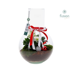 Green Bottle Suzanne Large met Helleborus