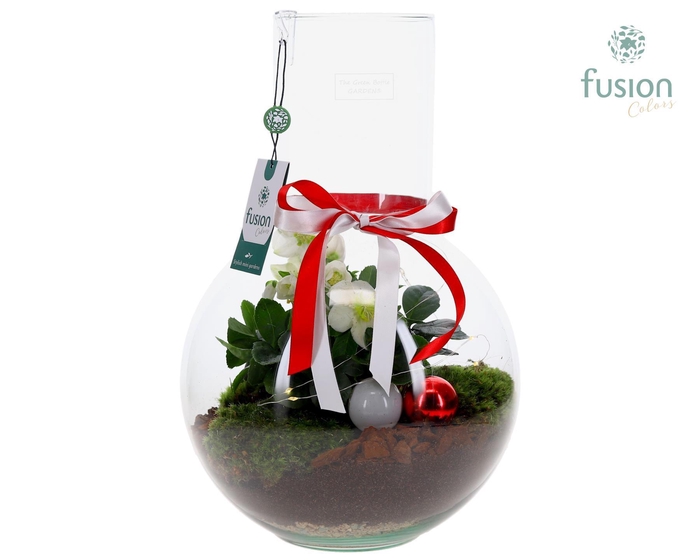 <h4>Green Bottle Suzanne Large met Helleborus</h4>