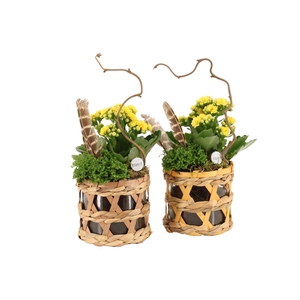 70591: Easter arrangement