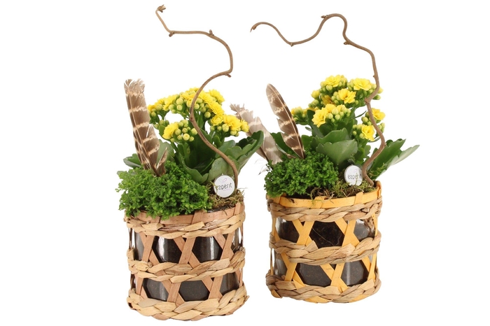 <h4>70591: Easter arrangement</h4>