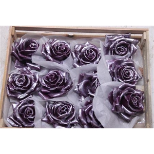 Wax Roos Pearl Pruim