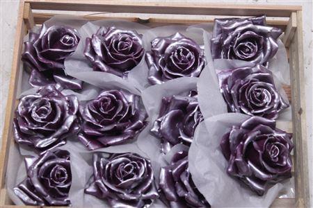 <h4>Wax Roos Pearl Pruim</h4>