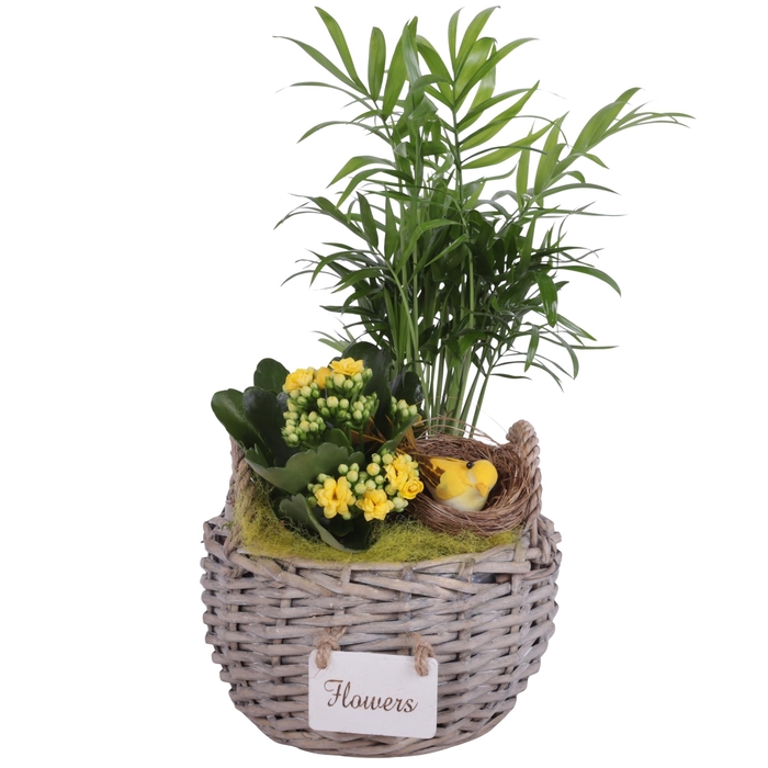 <h4>Easter Arr. Indoor Willow Basket Round Flowersign Ø18cm 2PP</h4>