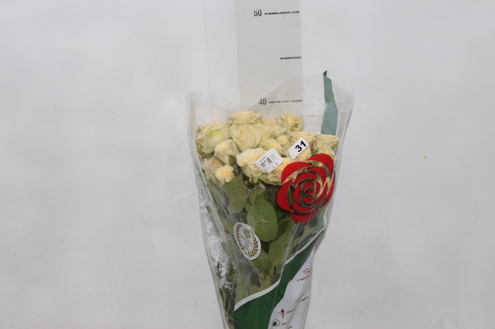 <h4>ROSA SPRAY CRETA 040 CM</h4>