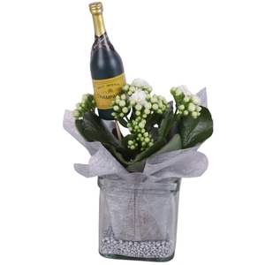 New Year Arr. Indoor Glass Accuglas Square Ø08cm 1PP