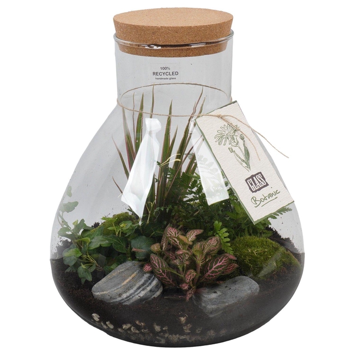 <h4>PTGIG2181 Arrangement Greens in glass in glazen terrarium</h4>