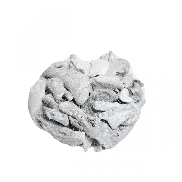 <h4>Droogdeco Driftwood 300-500g</h4>